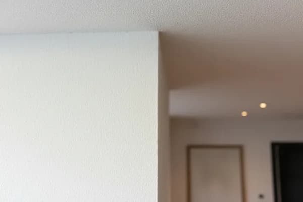 Spackspuitwerk nieuwbouw plafond
